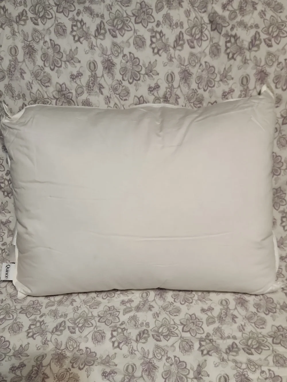 Quince Luxe Goose Down Pillow - Standard, Open Box